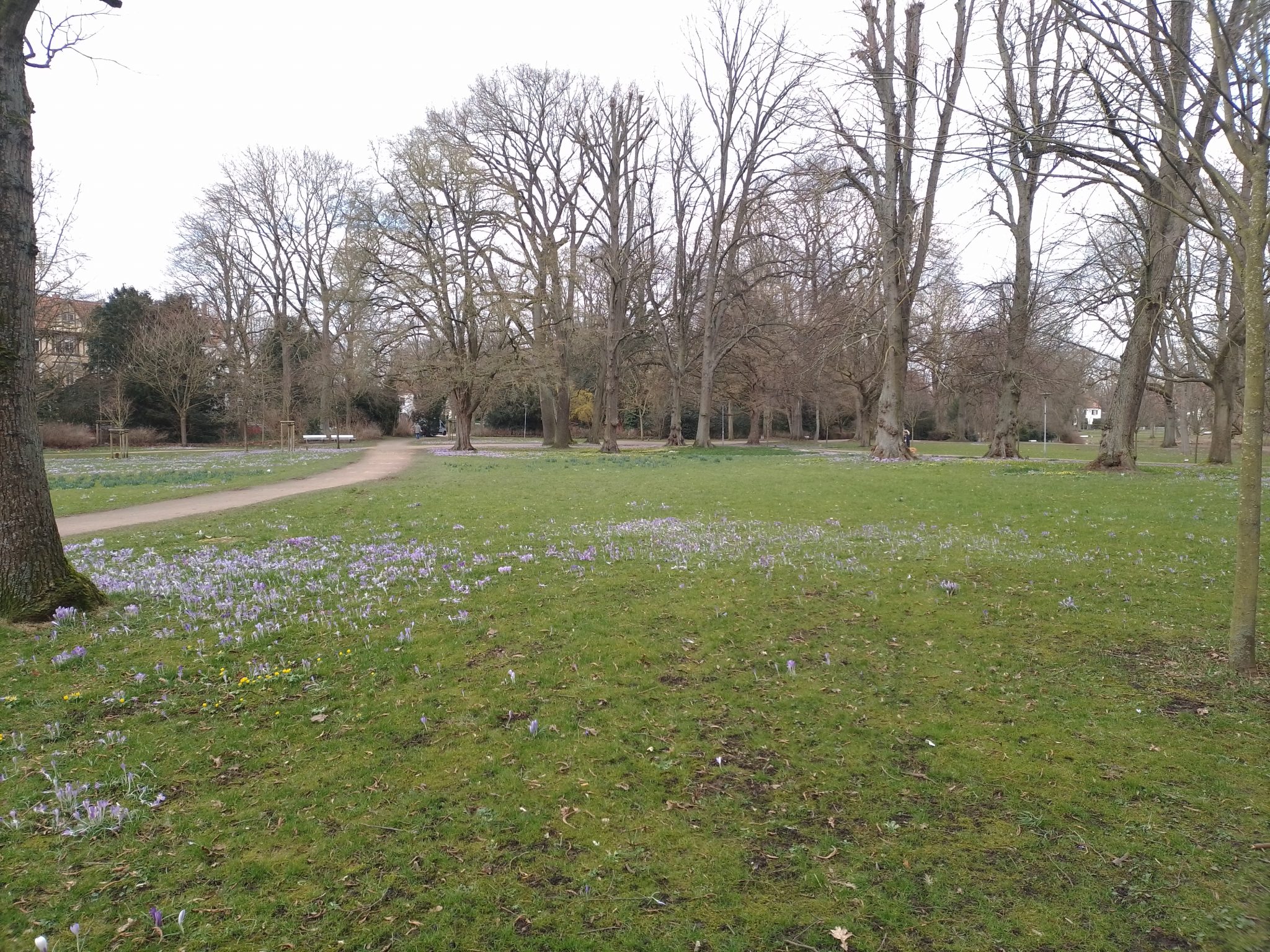 Glockengießerstr. 87 In Lübeck. Stadtpark Lübeck – Rund um die Wakenitz