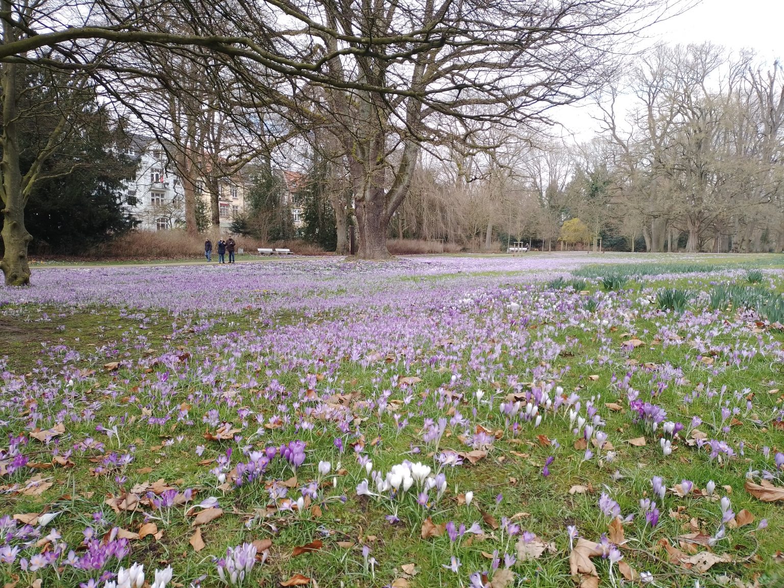 Glockengießer 69, Lübeck Stadtpark Lübeck – Rund um die Wakenitz